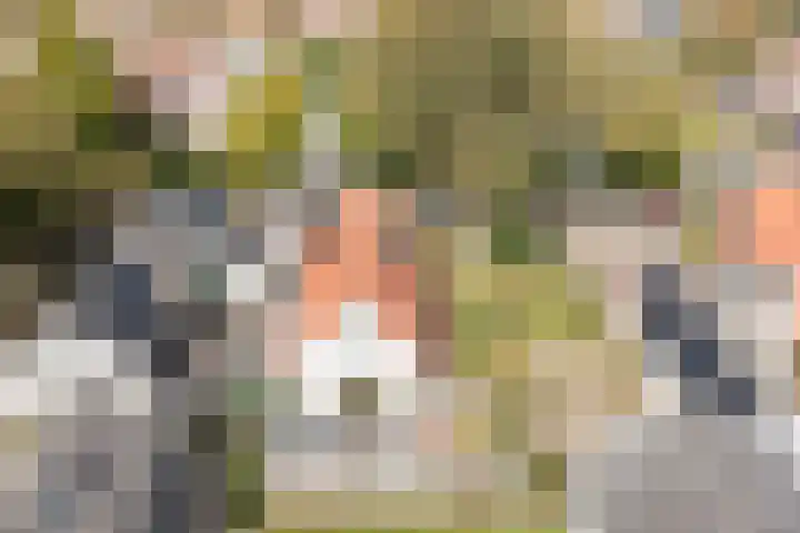 Nijverheidsstraat 57 Oudkarspel thumbnail 44