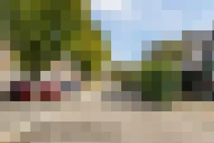 Nijverheidsstraat 57 Oudkarspel thumbnail 46