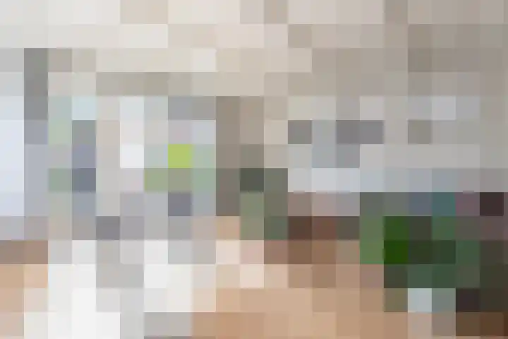 Nijverheidsstraat 57 Oudkarspel thumbnail 5
