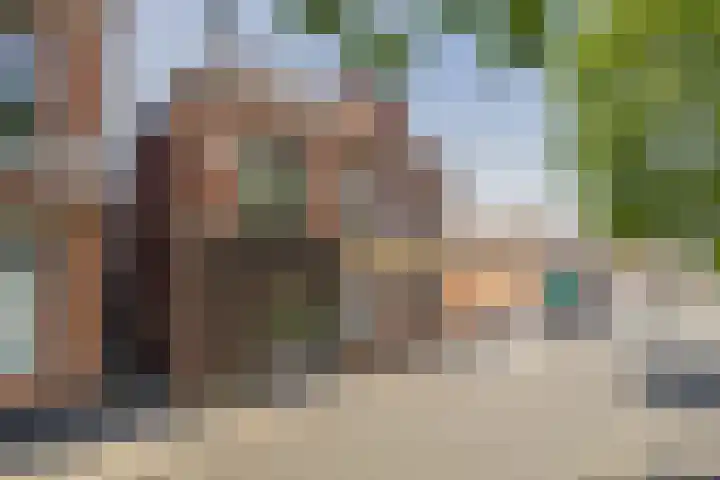 Nijverheidsstraat 60 Wildervank thumbnail 60