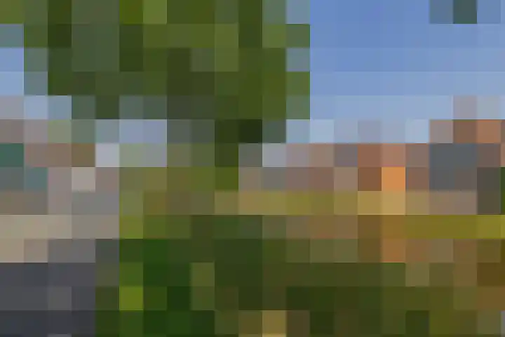 Nijverheidsstraat 60 Wildervank thumbnail 65