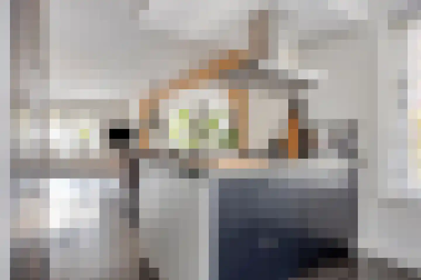 Nijverheidsstraat 67 Oudkarspel thumbnail 16