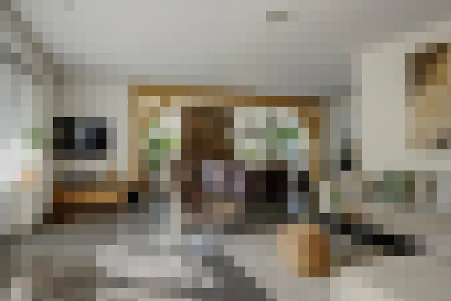 Nijverheidsstraat 67 Oudkarspel thumbnail 18