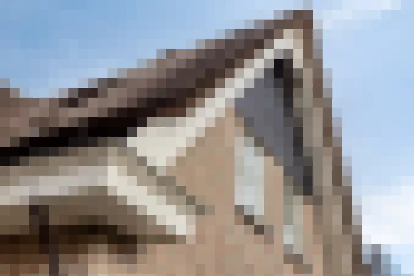 Nijverheidsstraat 67 Oudkarspel thumbnail 21