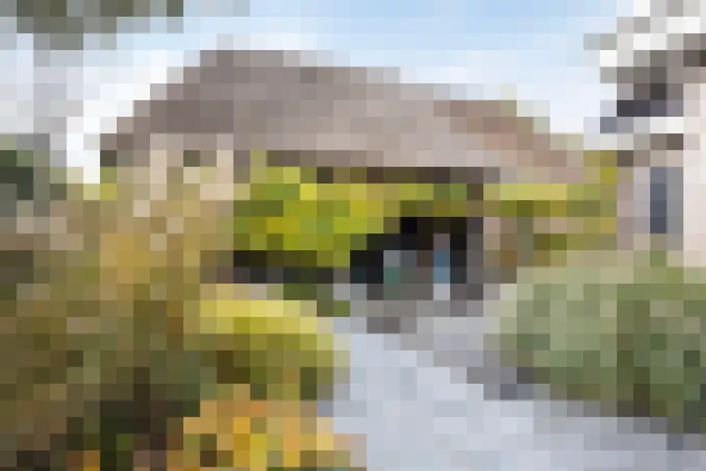 Nijverheidsstraat 67 Oudkarspel thumbnail 25
