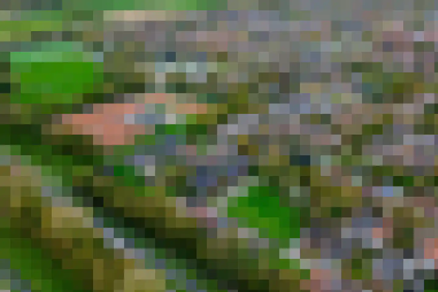 Nijverheidsstraat 67 Oudkarspel thumbnail 33
