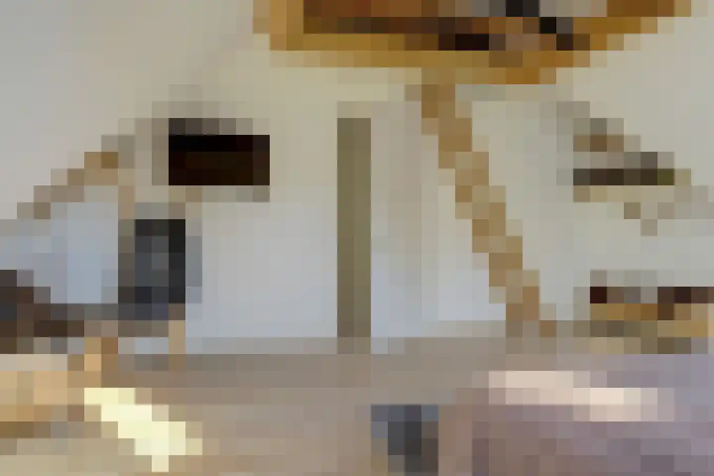 Nijverheidsstraat 67 Oudkarspel thumbnail 34