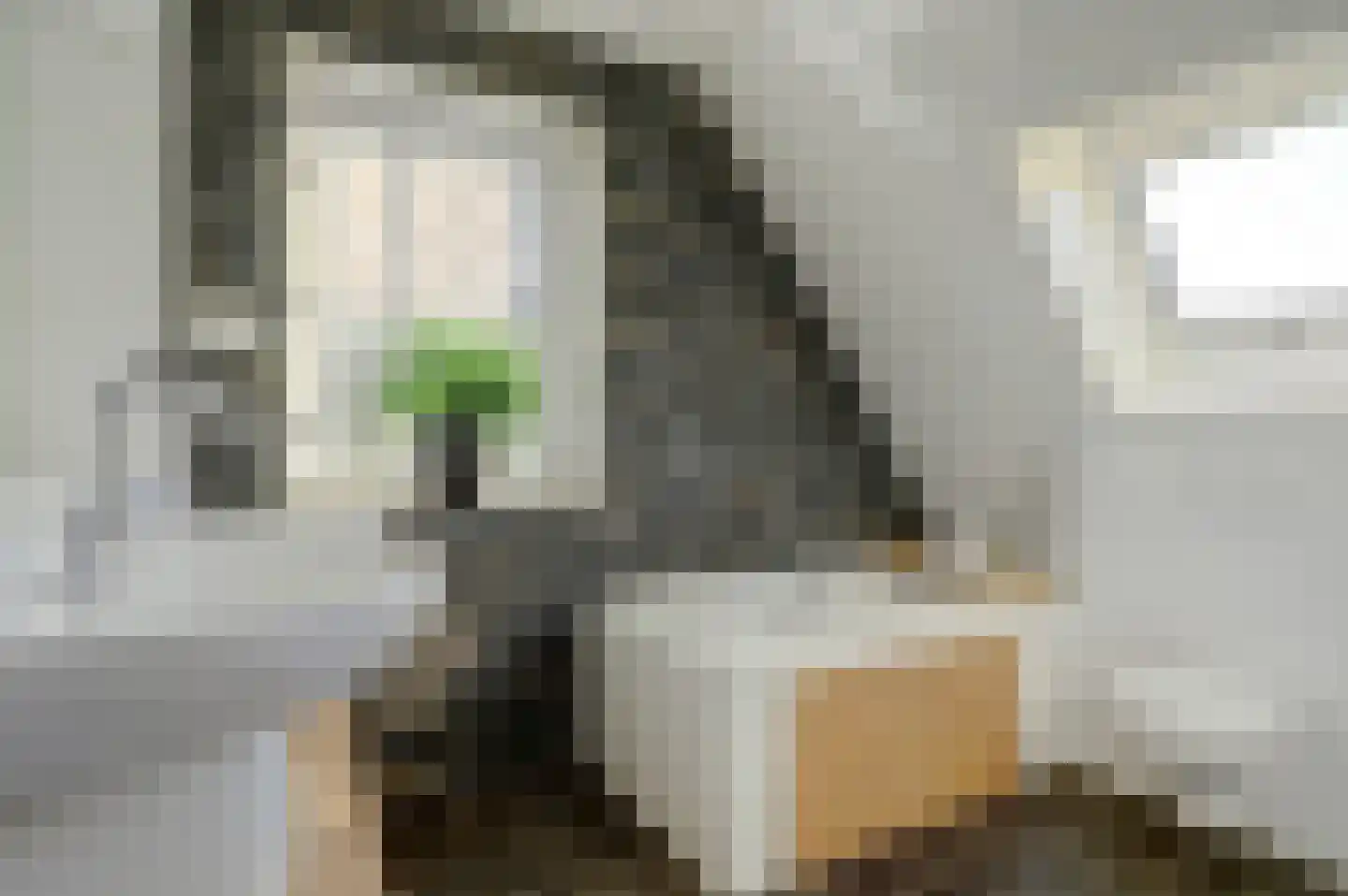 Nijverheidsstraat 67 Oudkarspel thumbnail 37