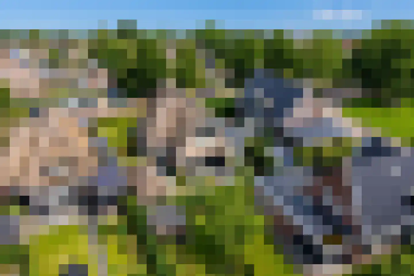 Nijverheidsstraat 67 Oudkarspel thumbnail 4