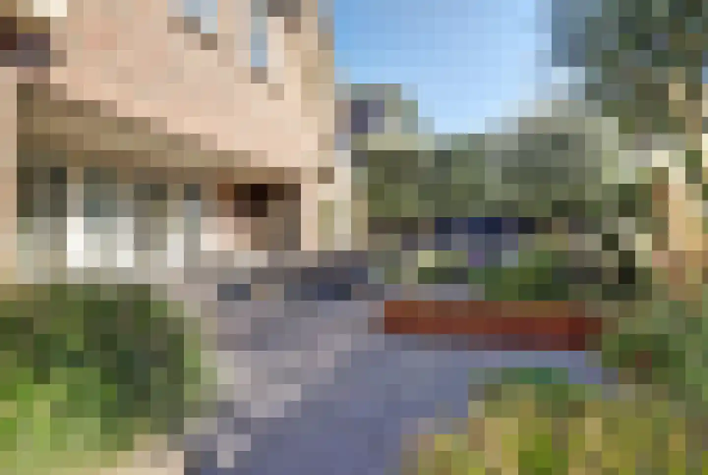 Nijverheidsstraat 67 Oudkarspel thumbnail 41