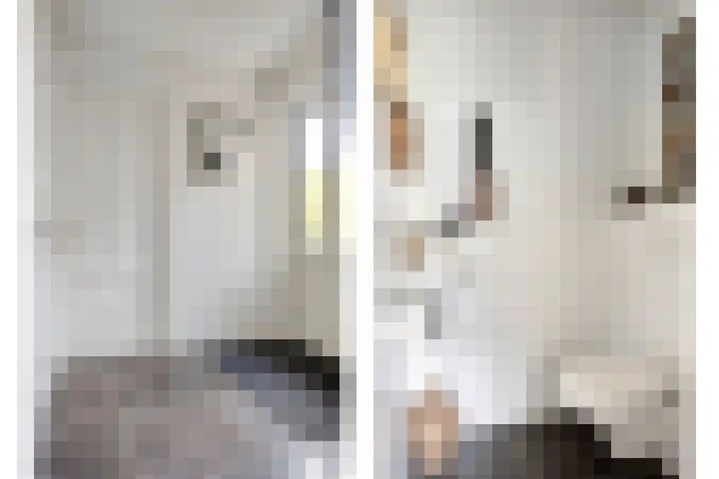 Nijverheidsstraat 67 Oudkarspel thumbnail 7