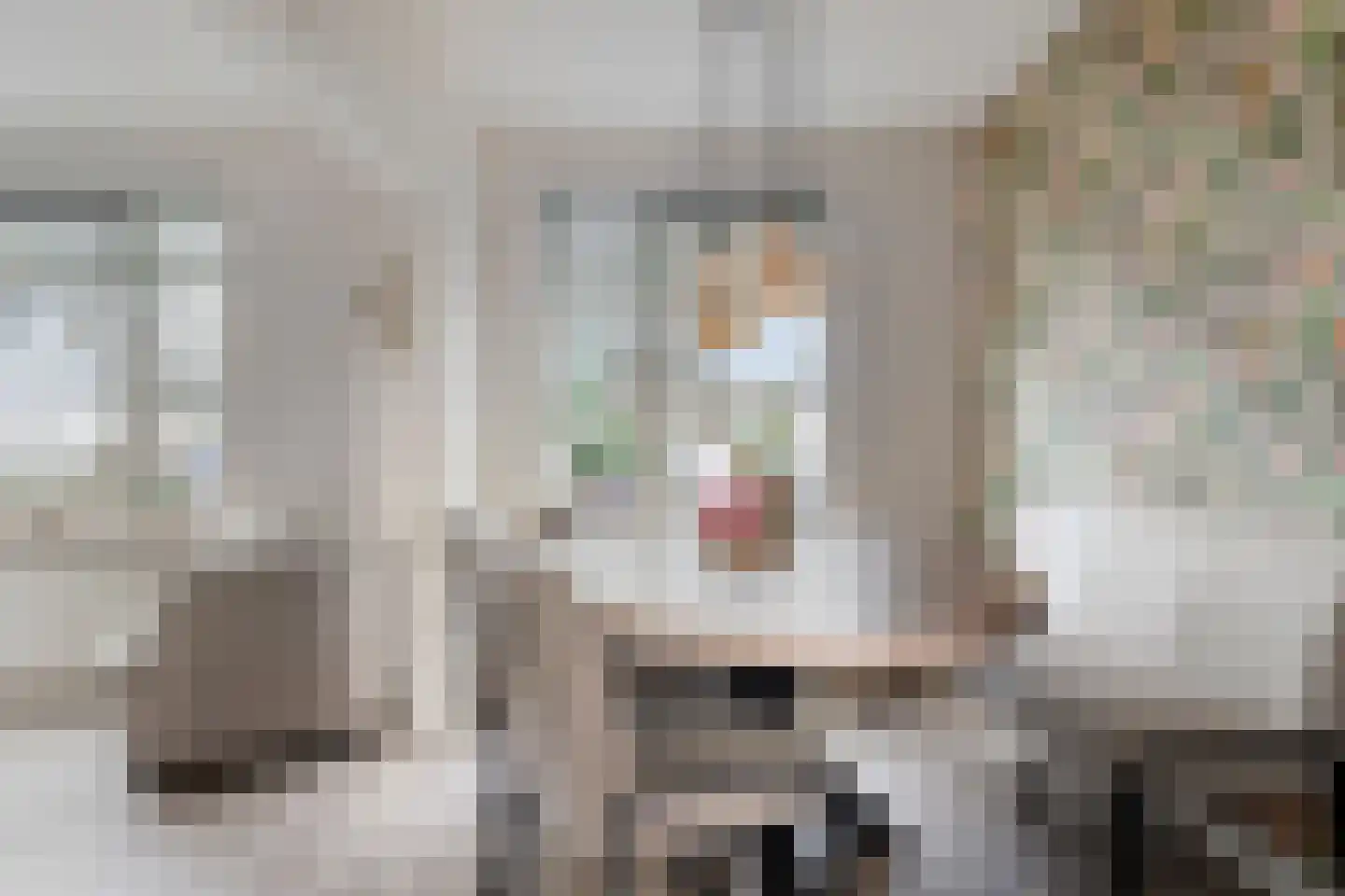 Nijverheidsstraat 7 Gouda thumbnail 8