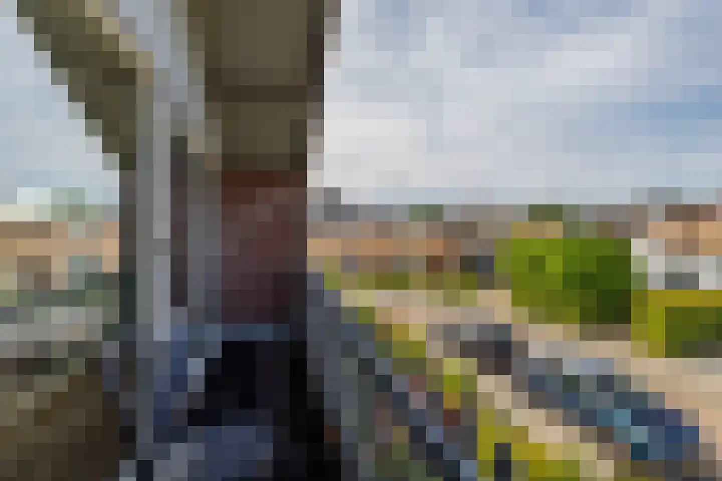 Nijverheidsstraat 7 Heerjansdam thumbnail 46