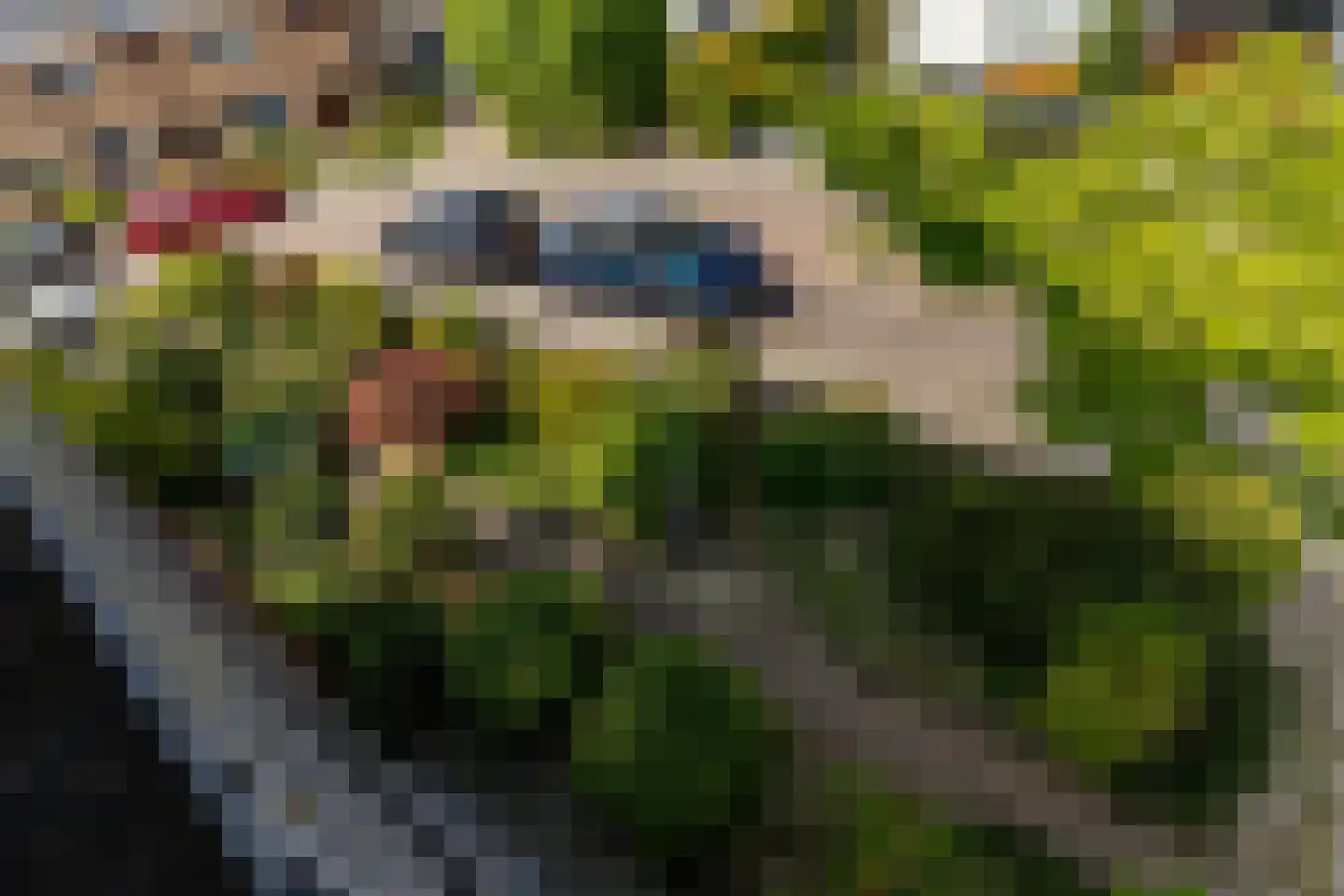 Nijverheidsstraat 7 Heerjansdam thumbnail 47