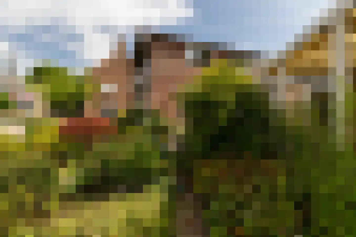 Nijverheidsstraat 7 Heerjansdam thumbnail 49