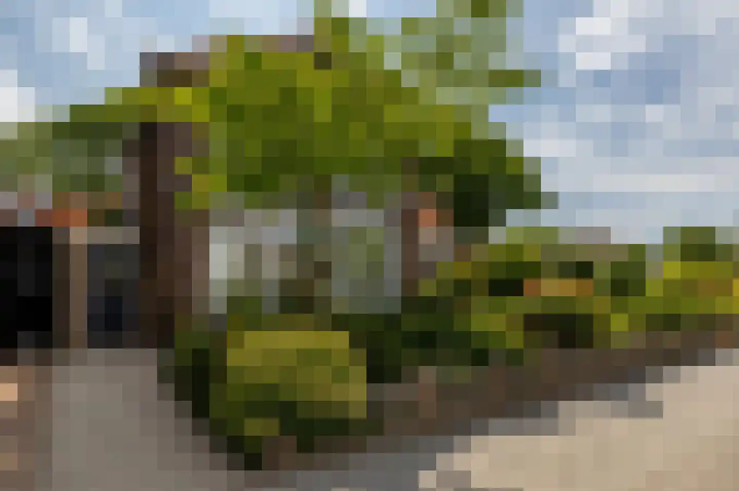 Nijverheidsstraat 7 Heerjansdam thumbnail 52