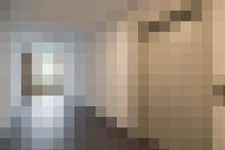Nijverheidsstraat 7 M Hoofddorp thumbnail 8