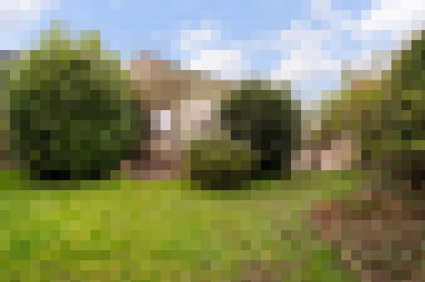 Nijverheidsstraat 7 Ruurlo thumbnail 43