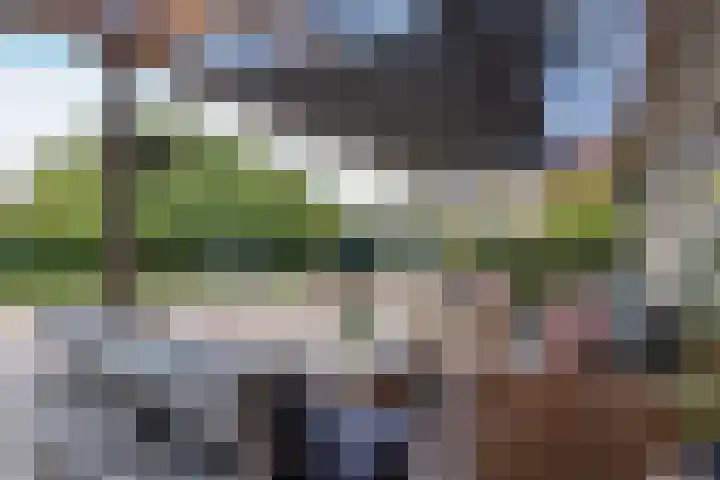 Nijverheidsstraat 90 Wildervank thumbnail 34