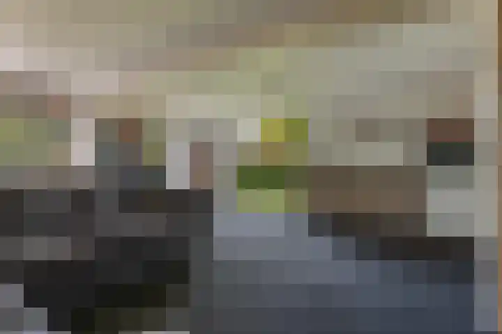 Nijverheidsstraat 90 Wildervank thumbnail 38