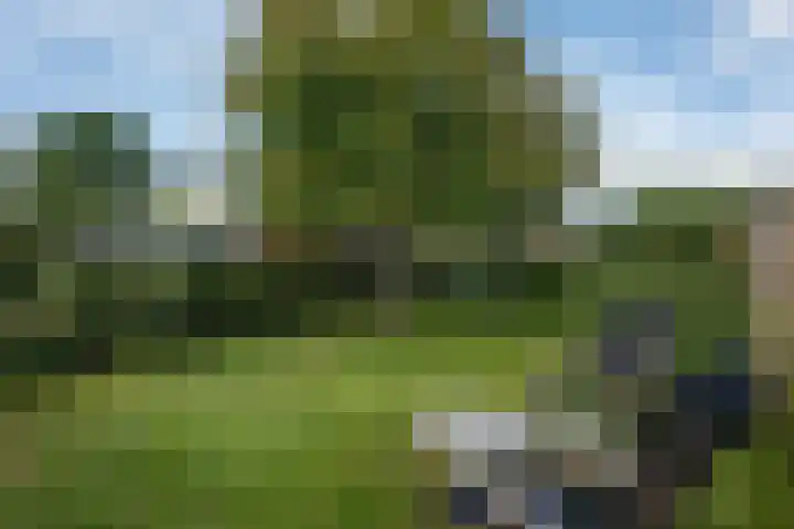 Nijverheidsstraat 90 Wildervank thumbnail 40