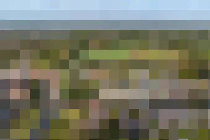 Nijverheidsstraat 90 Wildervank thumbnail 47