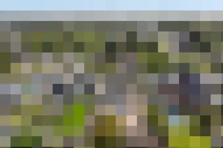 Nijverheidsstraat 90 Wildervank thumbnail 6