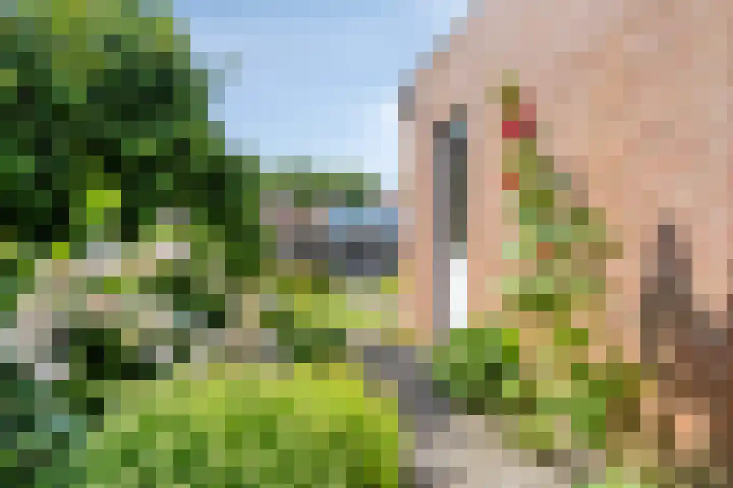 Nijverheidsstraat 93 Wildervank thumbnail 81