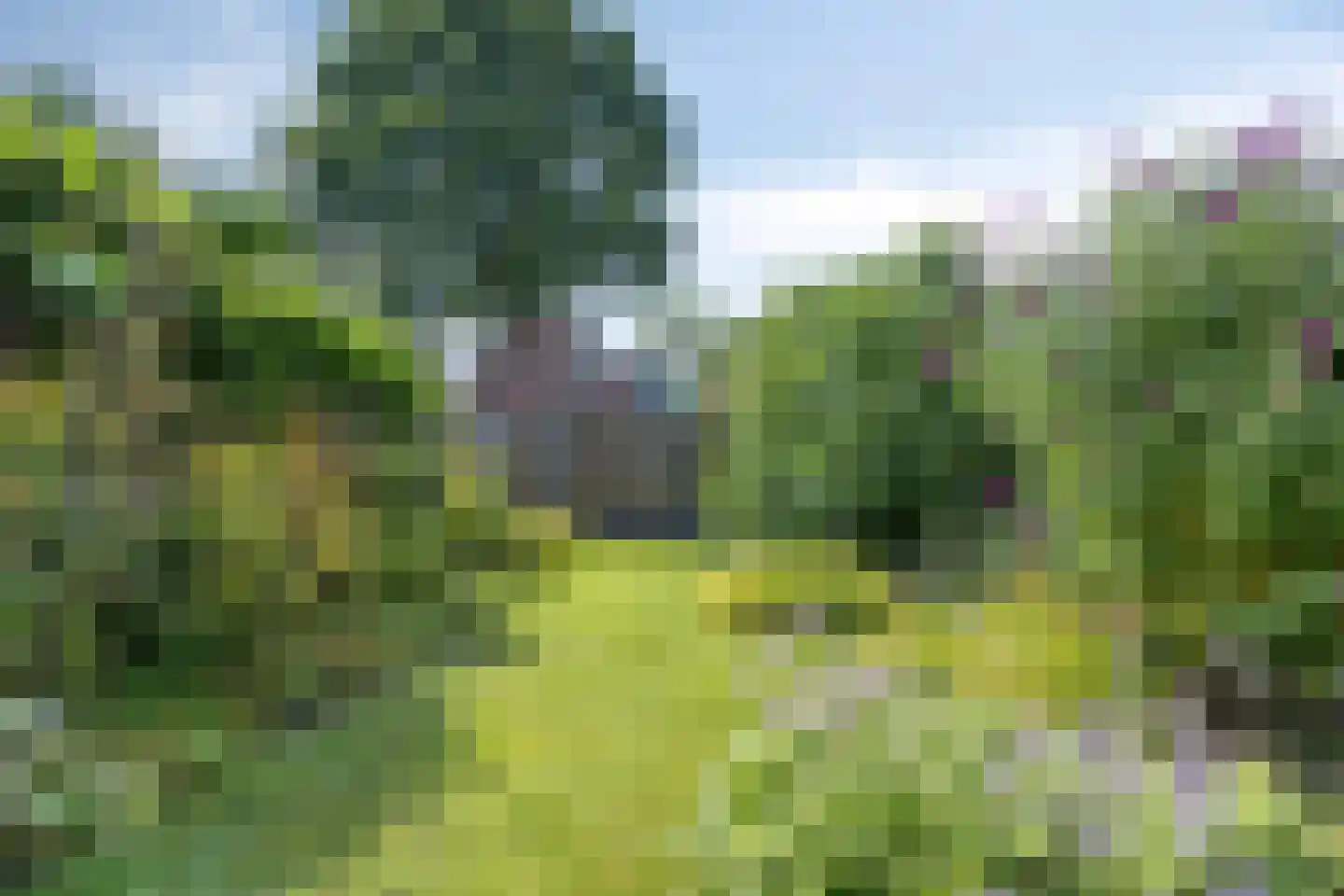 Nijverheidsstraat 93 Wildervank thumbnail 89