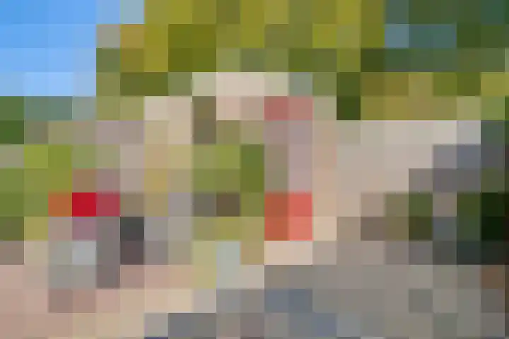 Nijverheidsstraat 98 Oudkarspel thumbnail 33