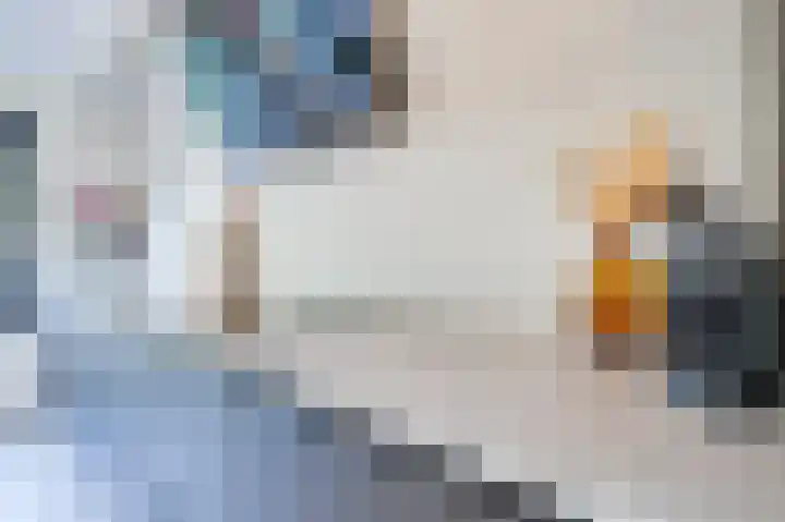 Nijverheidsstraat 98 Oudkarspel thumbnail 6