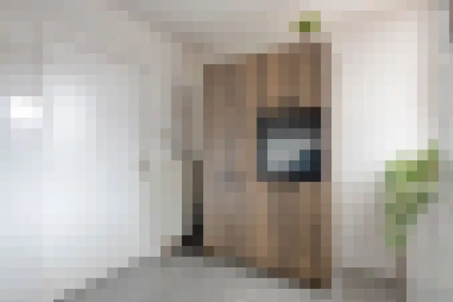 Nijverheidstraat 1 Terborg thumbnail 15