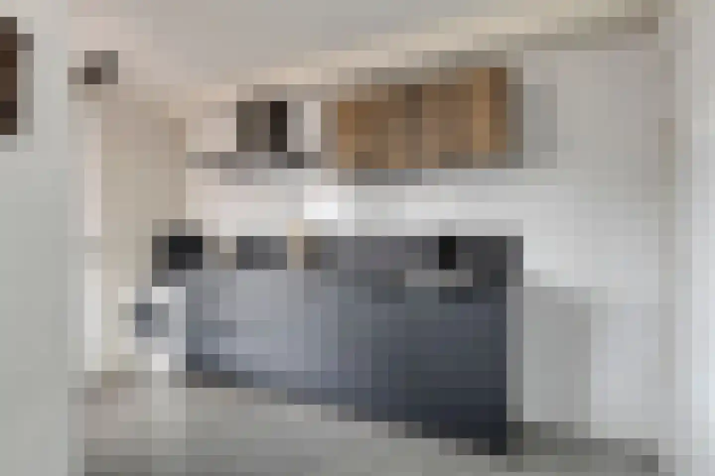 Nijverheidstraat 1 Terborg thumbnail 16