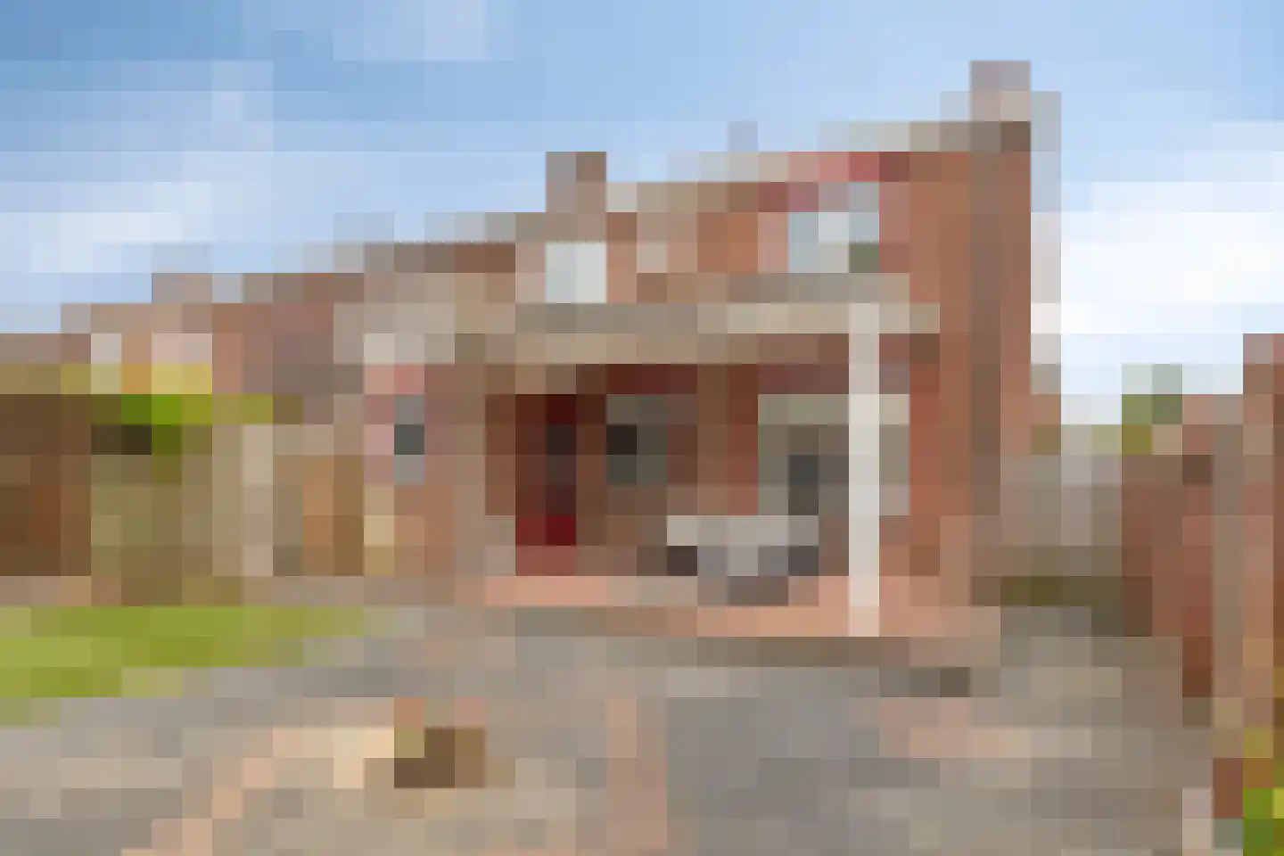 Nijverheidstraat 1 Terborg thumbnail 4