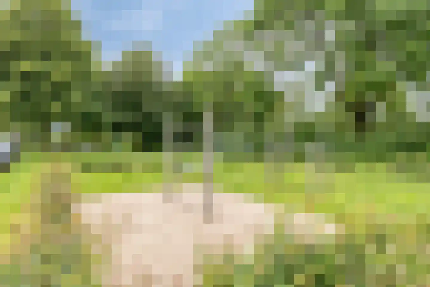Nijverheidstraat 1 Terborg thumbnail 40
