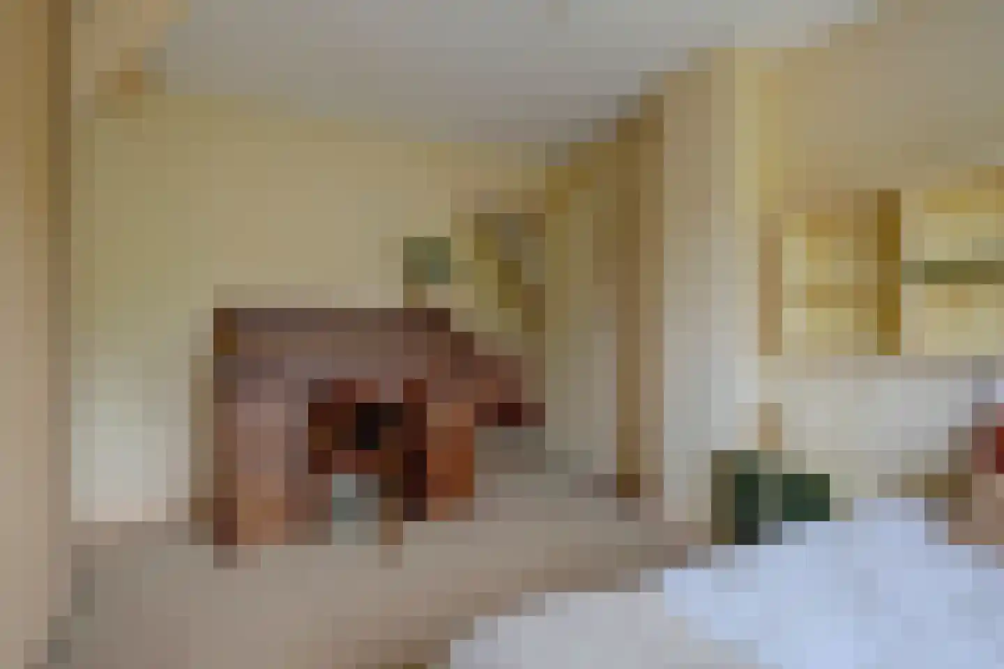 Nijverheidstraat 12 Gorssel thumbnail 16