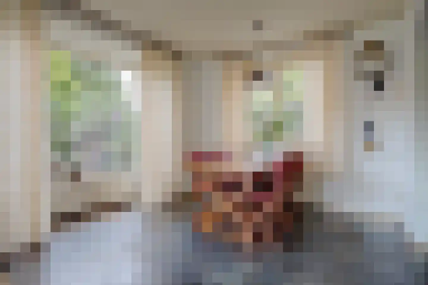Nijverheidstraat 12 Gorssel thumbnail 7