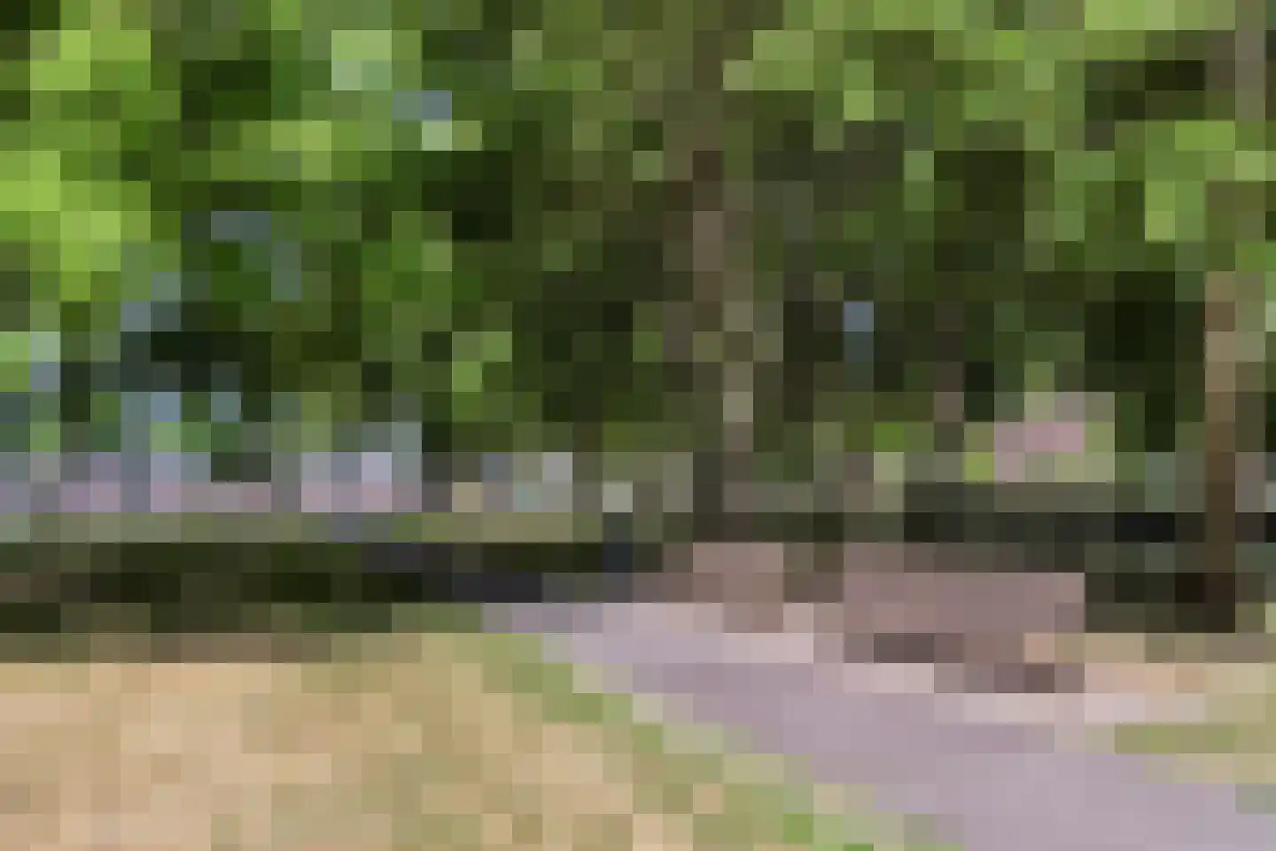 Nijverheidstraat 144 Rotterdam thumbnail 33