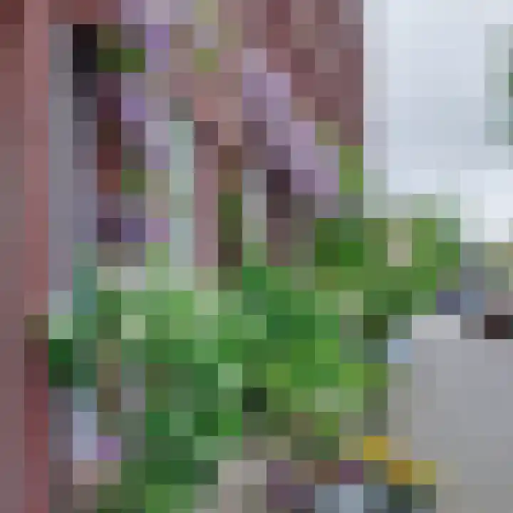 Nijverheidstraat 160 Rotterdam thumbnail 38