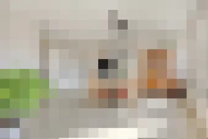 Nijverheidstraat 160 Rotterdam thumbnail 4
