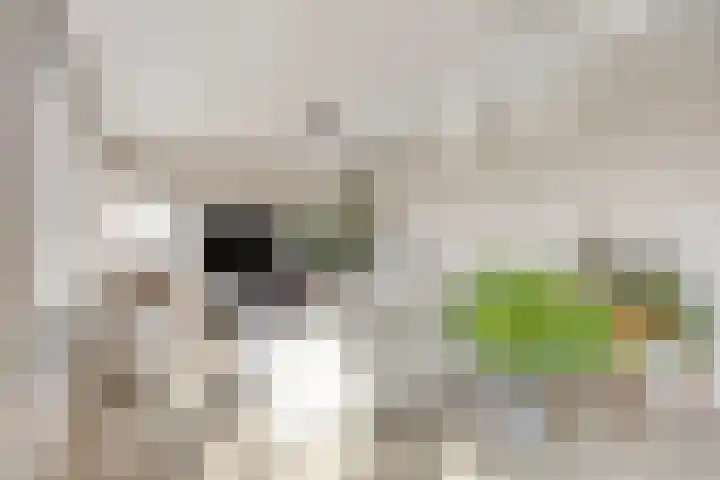 Nijverheidstraat 160 Rotterdam thumbnail 7