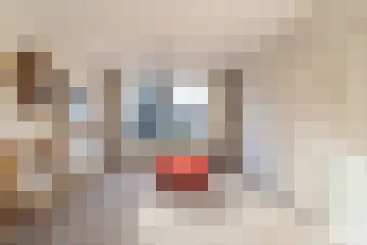 Nijverheidstraat 18 Kruiningen thumbnail 8