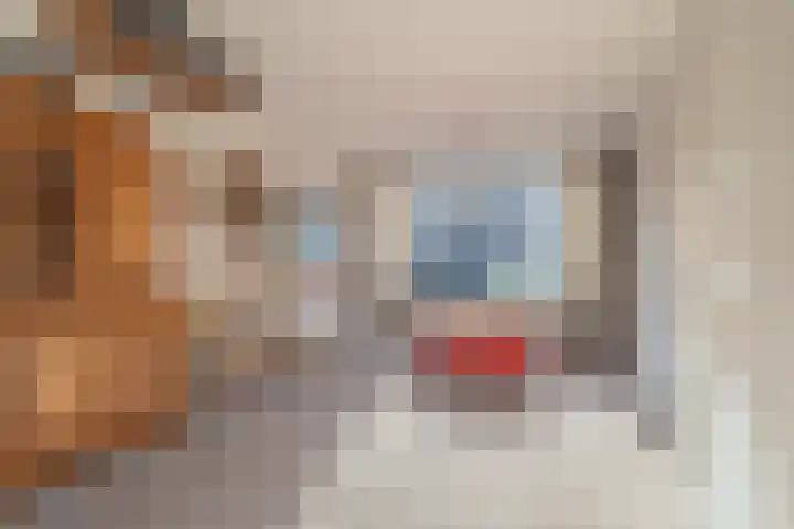 Nijverheidstraat 18 Kruiningen thumbnail 9