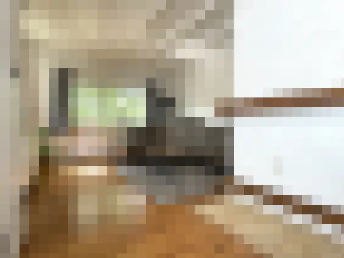 Nijverheidstraat 20 Gorssel thumbnail 4