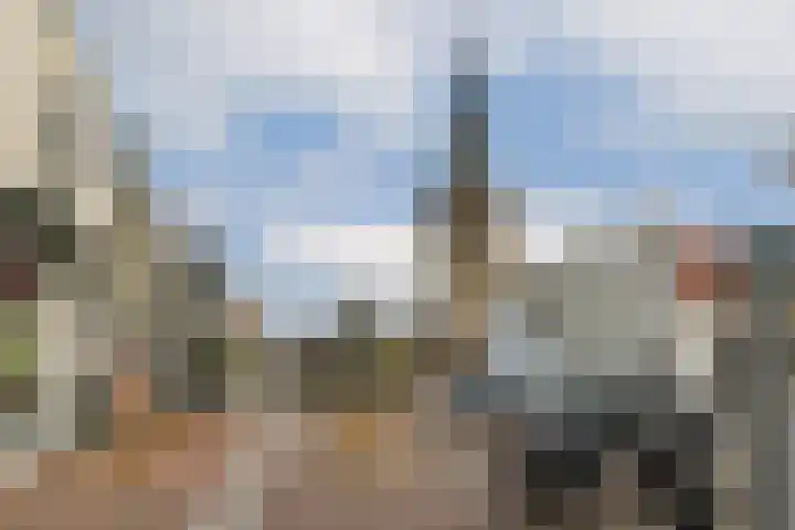 Nijverheidstraat 21 b Zuidland thumbnail 33