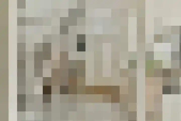 Nijverheidstraat 21 b Zuidland thumbnail 7