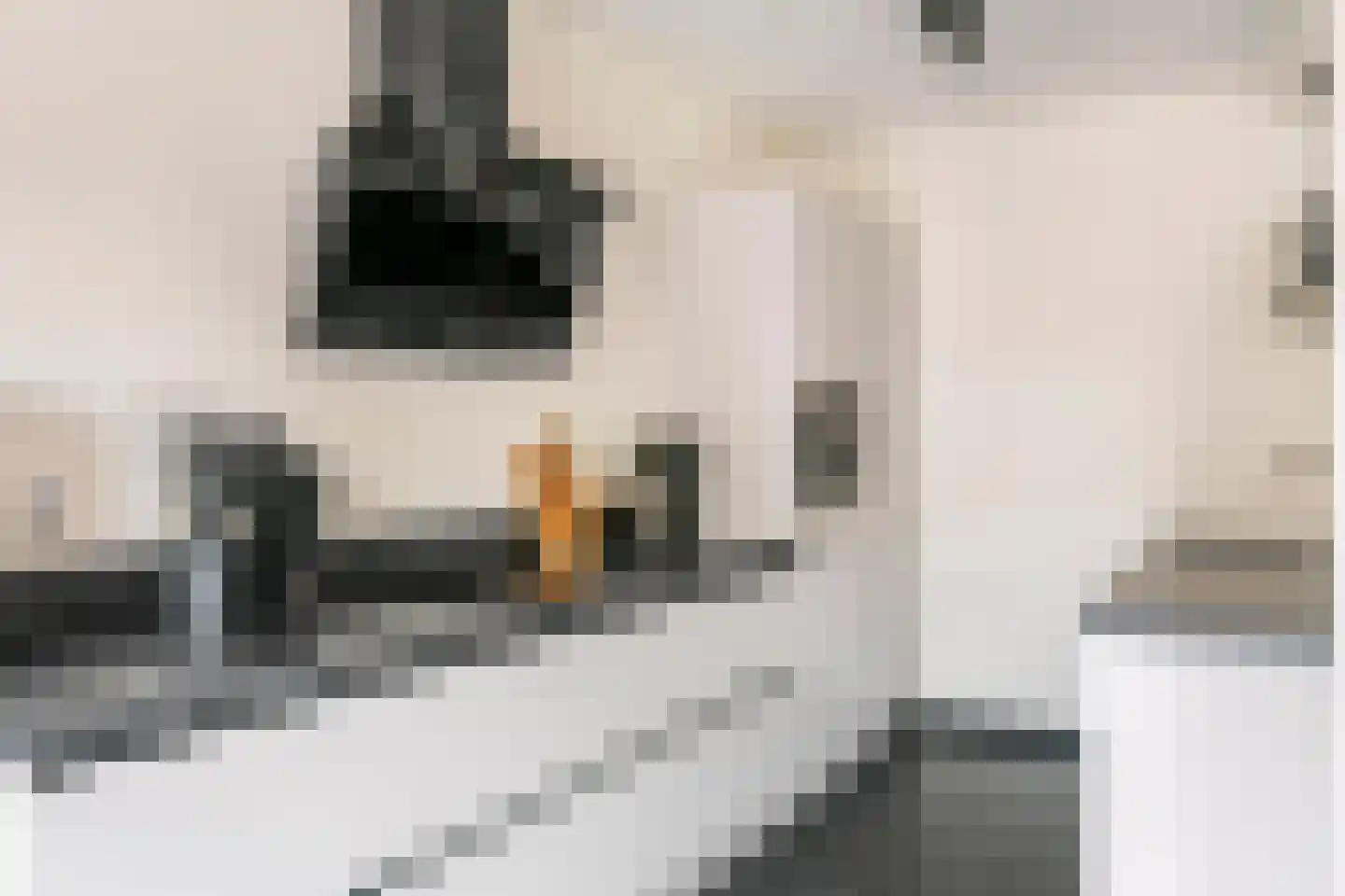 Nijverheidstraat 21 Geldermalsen thumbnail 10