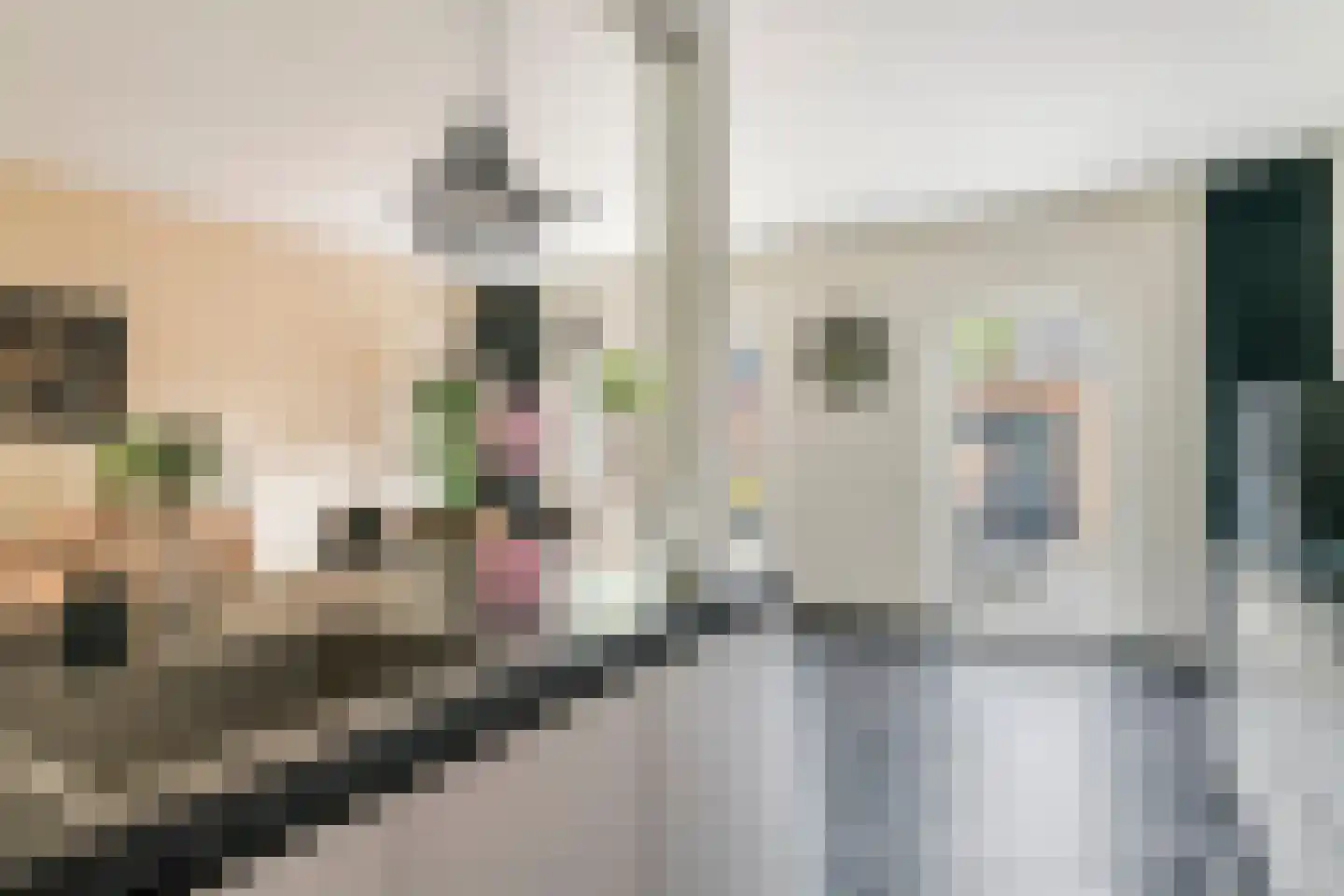 Nijverheidstraat 21 Geldermalsen thumbnail 14