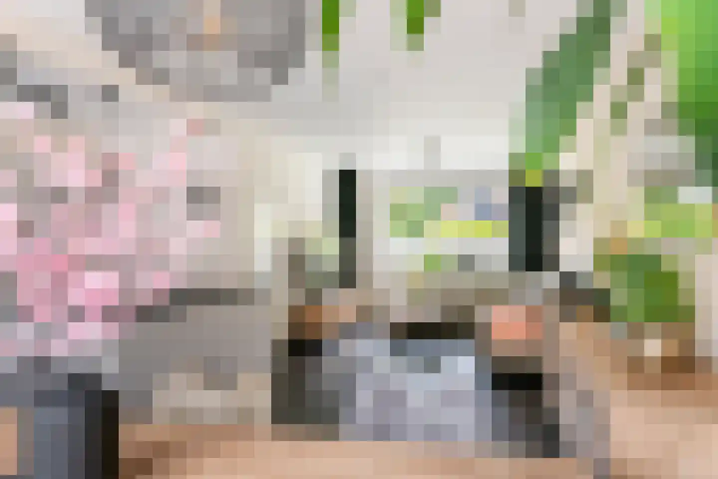 Nijverheidstraat 21 Geldermalsen thumbnail 19