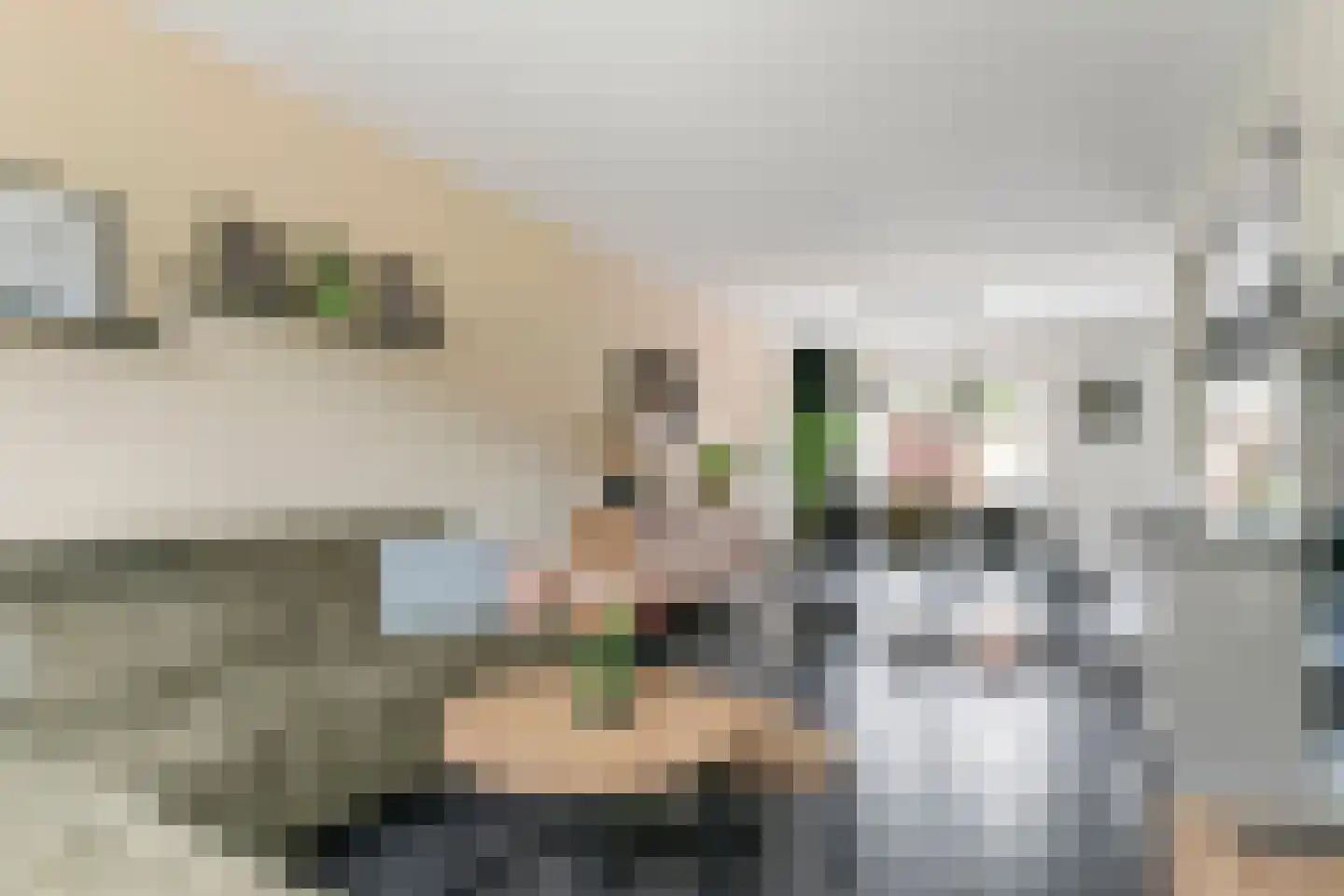 Nijverheidstraat 21 Geldermalsen thumbnail 20